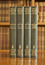 13-dizionario-lingua-italiana-nuovo