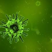 federico-motta-editore-virus-1030×515-1