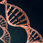 dna-cover